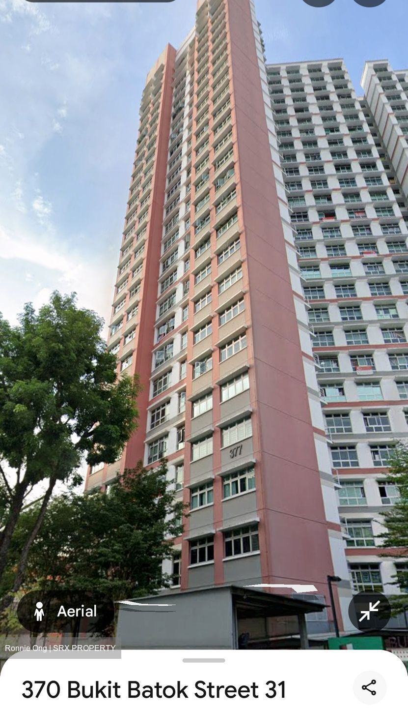Blk 377 Bukit Gombak Vista (Bukit Batok), HDB 3 Rooms #598293241
